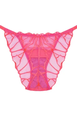 Briefs><noscript><img width=