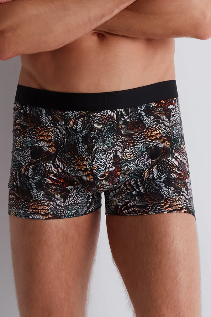Sexy Lingerie | Luxury French Lingerie>Aubade Homme Men's Modal Cotton Owls Boxer