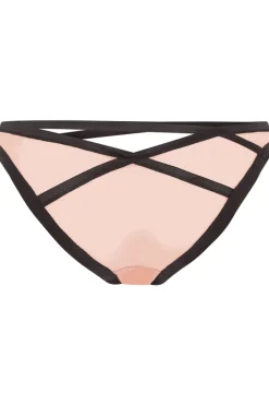 Sheer Lingerie | Briefs><noscript><img width=