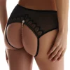 Sexy Lingerie | Sheer Lingerie>Bracli Kyoto Daisy Brief Black