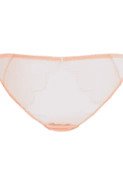 Sheer Lingerie | Briefs><noscript><img width=