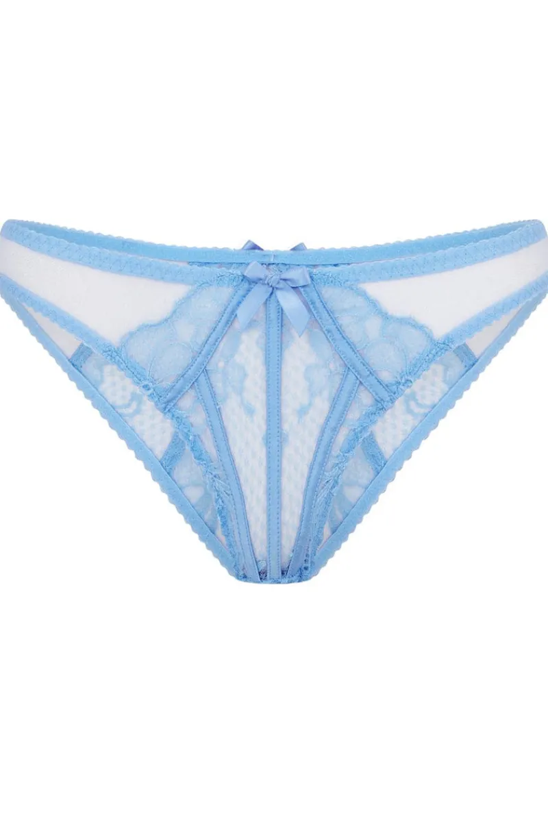 Sheer Lingerie | Briefs>Agent Provocateur Rozlyn Brief, Size 2 (UK 8) CornflowerBlue