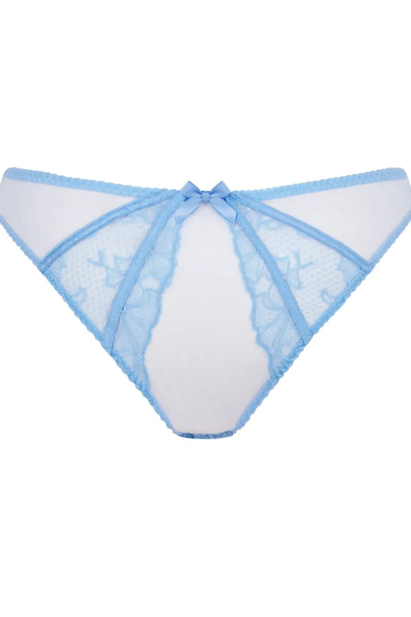 Sheer Lingerie | Briefs>Agent Provocateur Rozlyn Brief, Size 2 (UK 8) CornflowerBlue