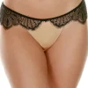£30 And Under | Briefs>Prelude Tresor Brief, Size S (UK 8) Black/Nude